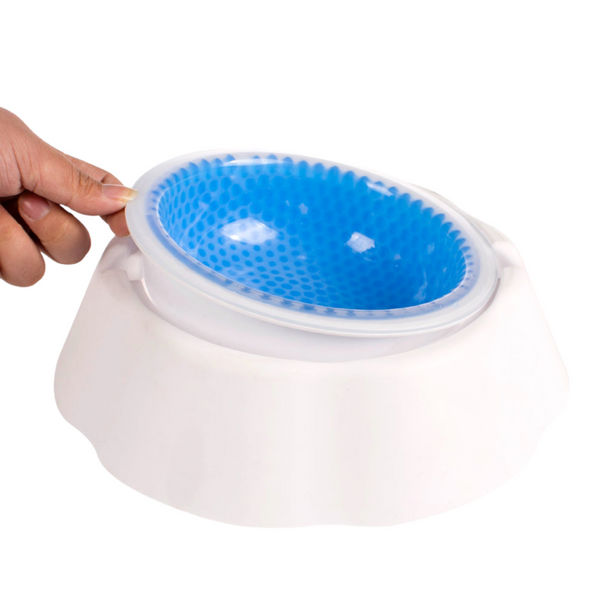 Talking Dog Club Water Fountain Bowl for Dogs (White/Blue)