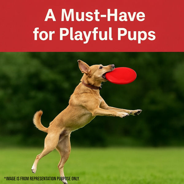 Talking Dog Club Pop Light weight Frisbee Toy for Dogs (Red)