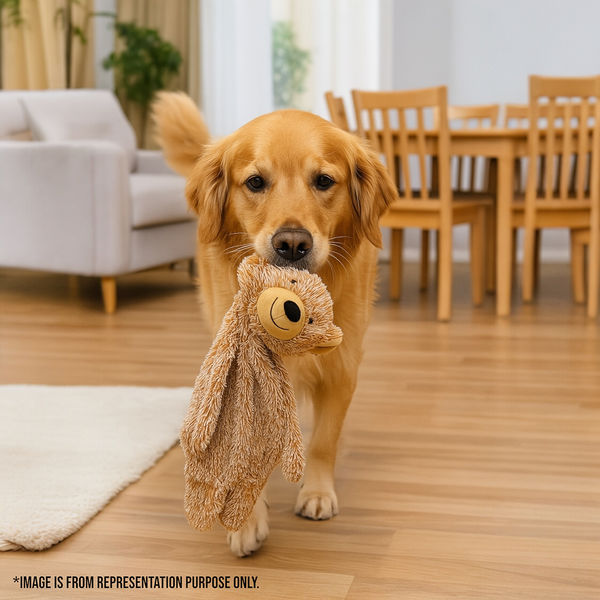 Talking Dog Club Teddy Bear Plush Crinkle Toy for Dogs (Brown)