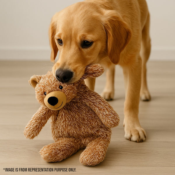 Talking Dog Club Teddy Bear Plush Crinkle Toy for Dogs (Brown)
