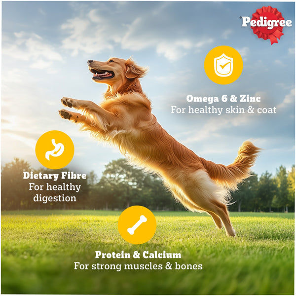 Pedigree Chicken & Liver Chunks in Gravy Puppy Wet Dog Food