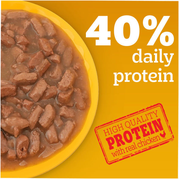 Pedigree Chicken & Liver Chunks in Gravy Puppy Wet Dog Food