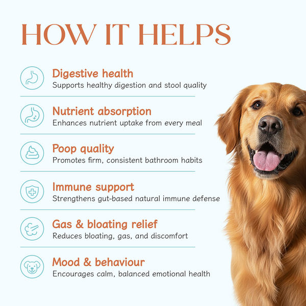 Hope Chicken Flavoured Pre+ Probiotics Supplement for Dogs