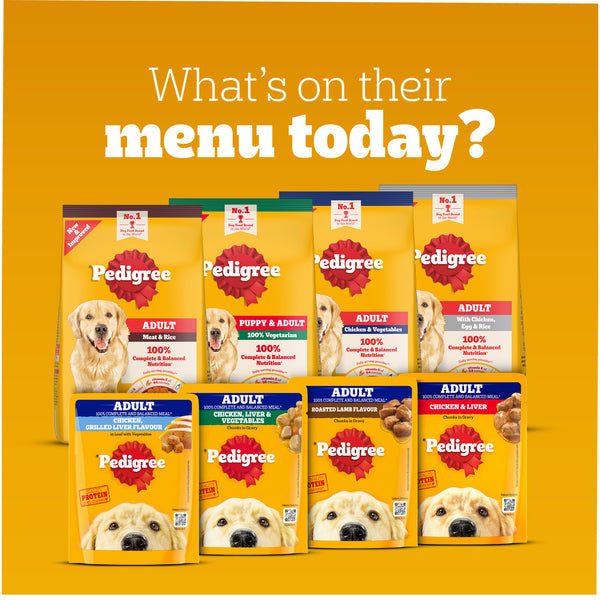 Pedigree Chicken & Liver Chunks in Gravy Puppy Wet Dog Food