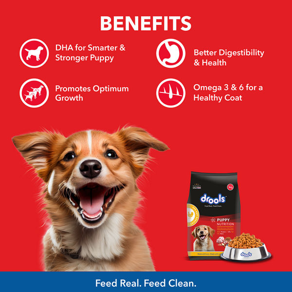 Drools Meat and Milk Puppy Dog Dry Food