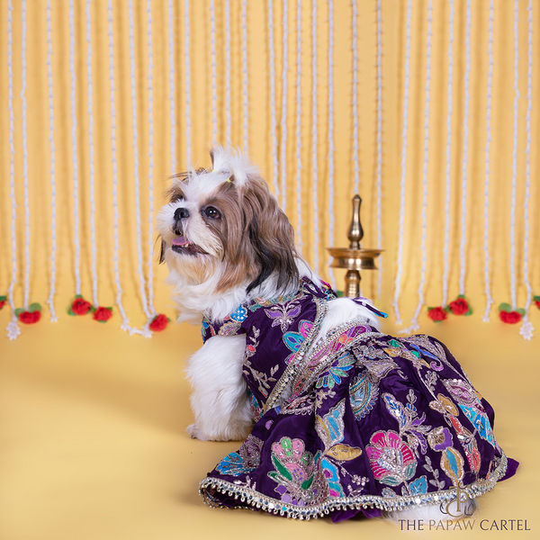 The Papaw Cartel Motif Embroidered Lehenga Choli for Dogs & Cats (Purple Paisley)