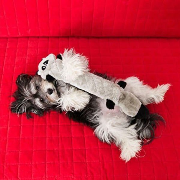 Zippy Paws Raccoon Jigglerz Plush Toy for Dogs