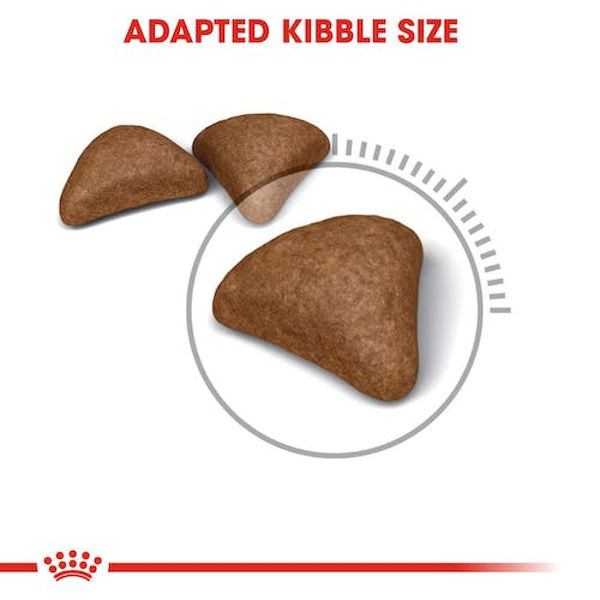 Royal Canin Hairball Care Food for Adult Cat Dry Food