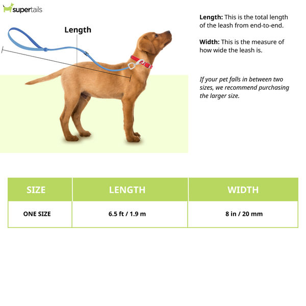 Ruffwear Flagline Leash for Dogs (Sage Green)