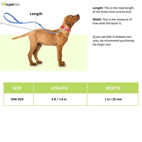 Ruffwear Flat Out Leash for Dogs (Autumn Horizon)