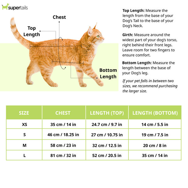 Ruse IPL "Funrisers Hyderabad" Printed Tank Jersey for Cats (Orange) | Indian Pet League