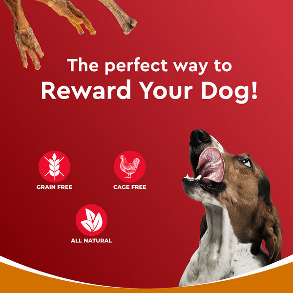 Drools Dehydrated Real Chicken Feet Chews Treat for Dogs
