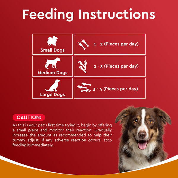 Drools Dehydrated Real Chicken Feet Chews Treat for Dogs