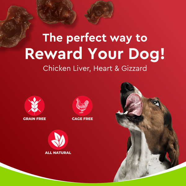 Drools Dehydrated Real Chicken Giblets Chews Treat for Dogs