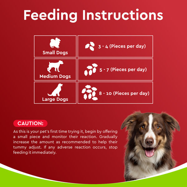 Drools Dehydrated Real Chicken Giblets Chews Treat for Dogs