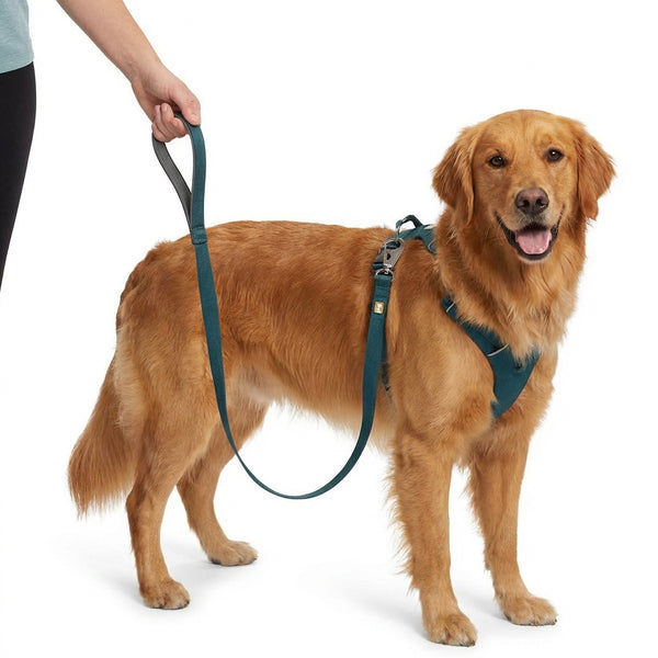 Ruffwear Front Range Leash for Dogs (Blue Moon)