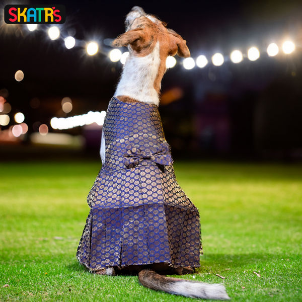 Skatrs Brocade Gold Printed Dress for Dogs and Cats (Blue)