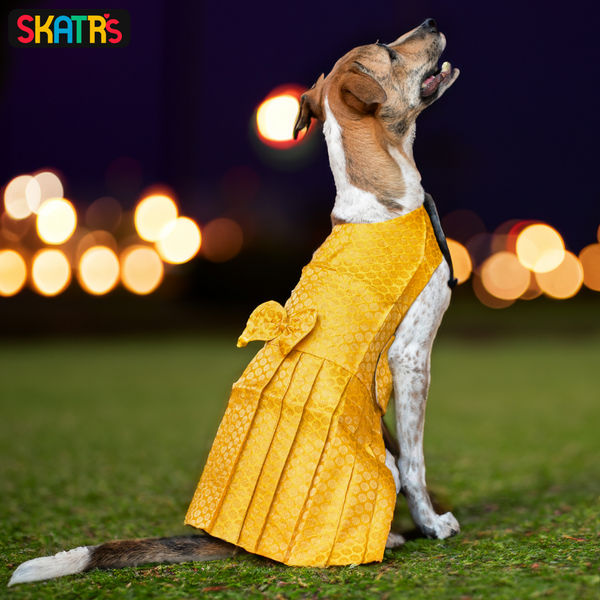 Skatrs Brocade Gold Printed Dress for Dogs and Cats (Yellow)