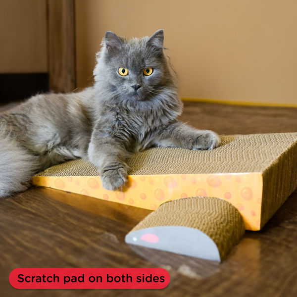 Skatrs Feline Fortress Two Tier Cat Tree with Sisal Post and Say Cheese Cat Scratcher with 2g Premium Catnip Combo