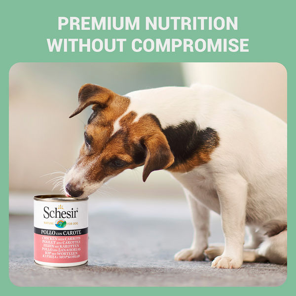 Schesir Chicken & Rice with Carrot in Jelly Dog Wet Food
