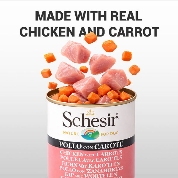 Schesir Chicken & Rice with Carrot in Jelly Dog Wet Food