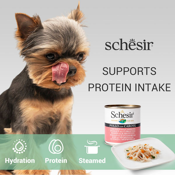 Schesir Chicken & Rice with Carrot in Jelly Dog Wet Food