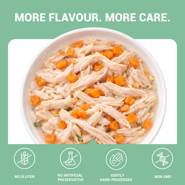Schesir Chicken & Rice with Carrot in Jelly Dog Wet Food