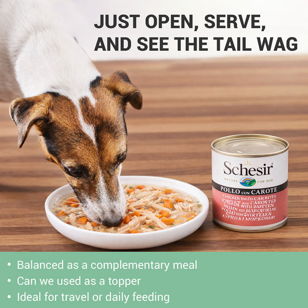 Schesir Chicken & Rice with Carrot in Jelly Dog Wet Food