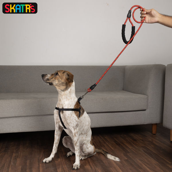 Skatrs Reflective Nylon Rope Leash for Dogs (Red)