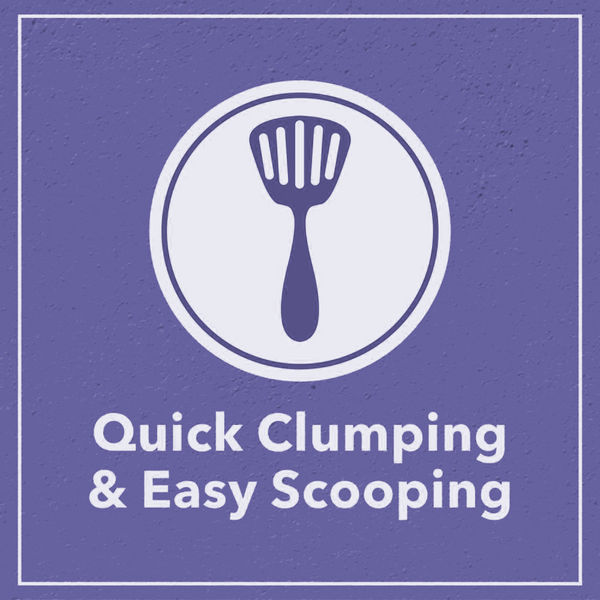 Scoopy Quick Clumping Lavender Scented Litter with Skatrs Litter Tray and Scooper for Cats
