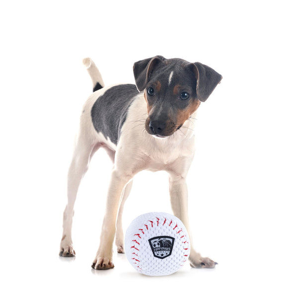 Zippy Paws SportsBallz Baseball Plush Toy for Dogs