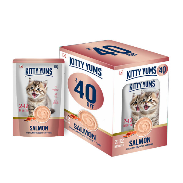 Kitty Yum Salmon Mousse Kitten Cat Wet Food