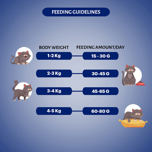 Signature Grain Zero Seafood Adult Cat Dry Food For All Breed