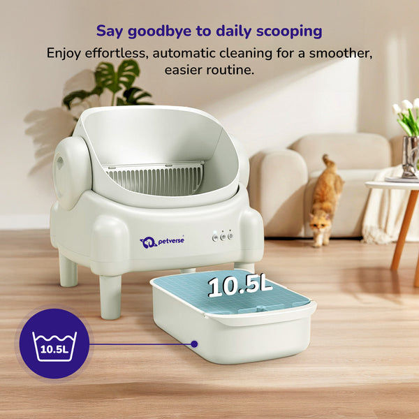 Petverse Automatic Open Top Self Cleaning Litter Box for Cats (White)