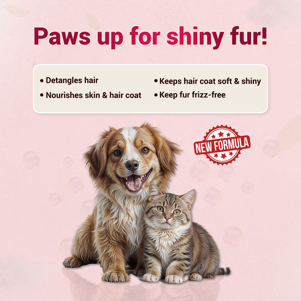 Natural Remedies Shine Me Up Advanced Hair Serum for Dogs and Cats