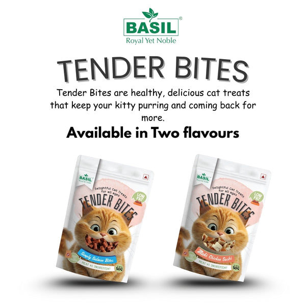 Basil Tender Bites Simply Salmon Cat Treats