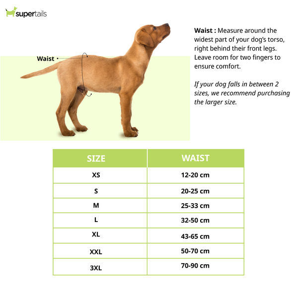 Barkbutler x Fofos Diaper for Female Dogs (43x65cm)