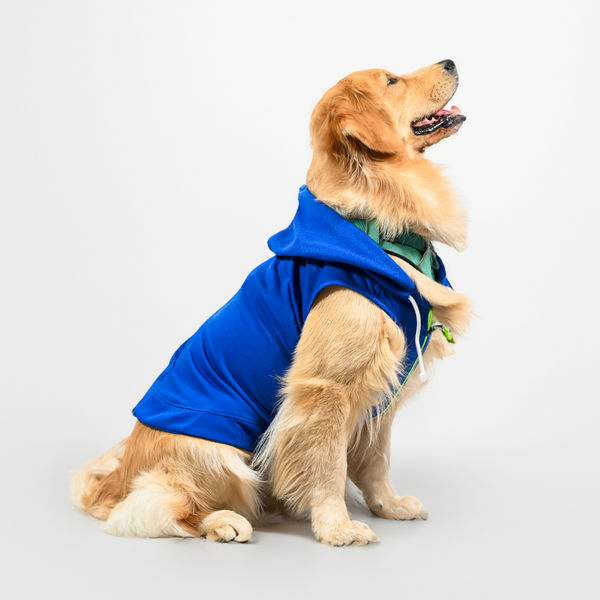 Skatrs Breezy Hoodie with Pockets for Dog and Cats (Blue)