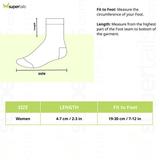 SocksXpress Limited Edition Pet Lover Themed Ankle Socks for Women (Pack of 3)