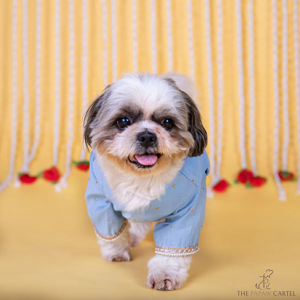 The Papaw Cartel Soft Cotton Embellished Koti Kurta for Dogs & Cats (Powder Blue)