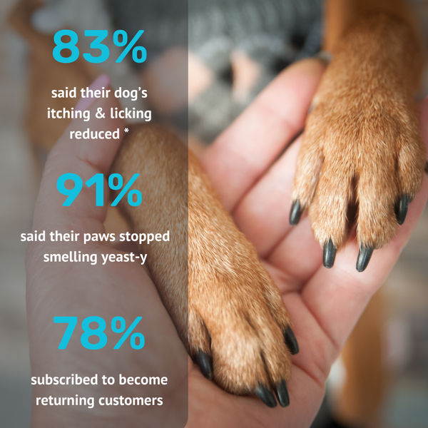 Absolut Pet Probiotics Gut Health Dog Supplement