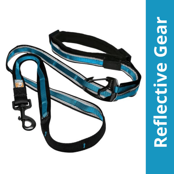 Kurgo Quantum 6 in 1 Dog Reflective Leash (Coastal Blue)