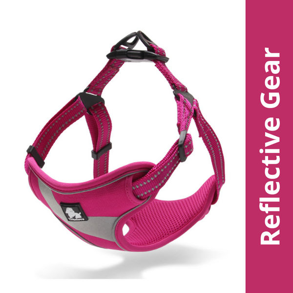 Truelove Step in with Duraflex Buckles & 3M Reflective Harness for Dogs (Fuschia)