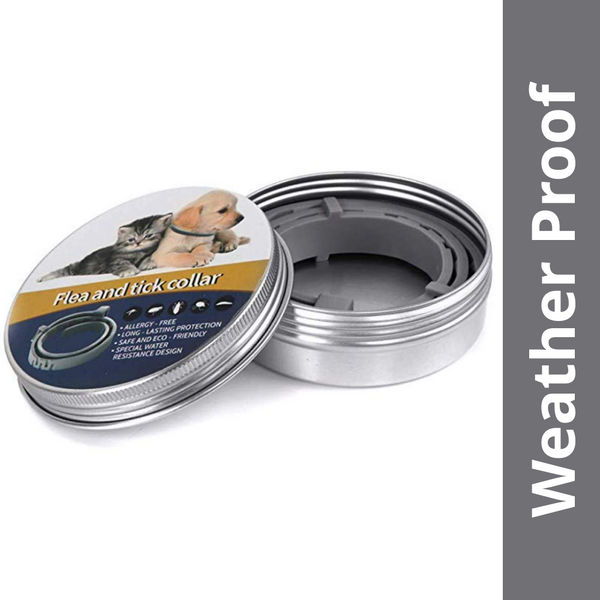 QPets Adjustable Waterproof Tick & Flea Collar for Dogs and Cats (Grey)