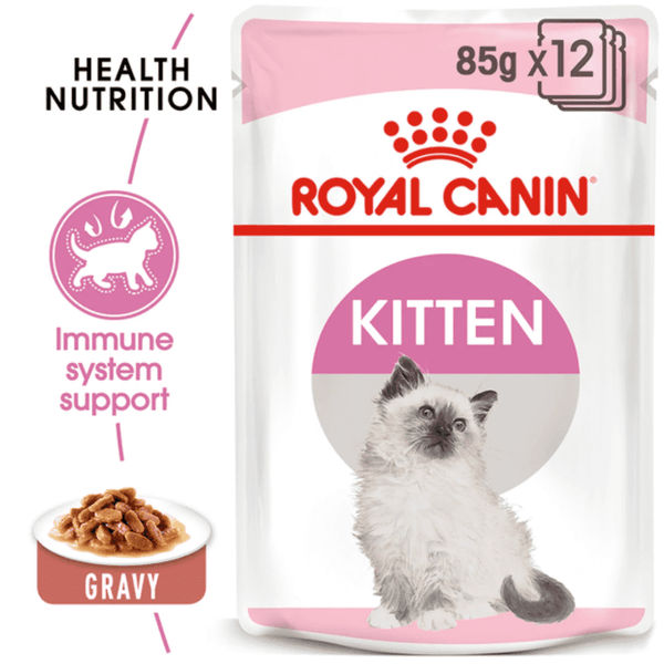 Royal Canin Persian Dry Food and Gravy Kitten Cat Wet Food Combo