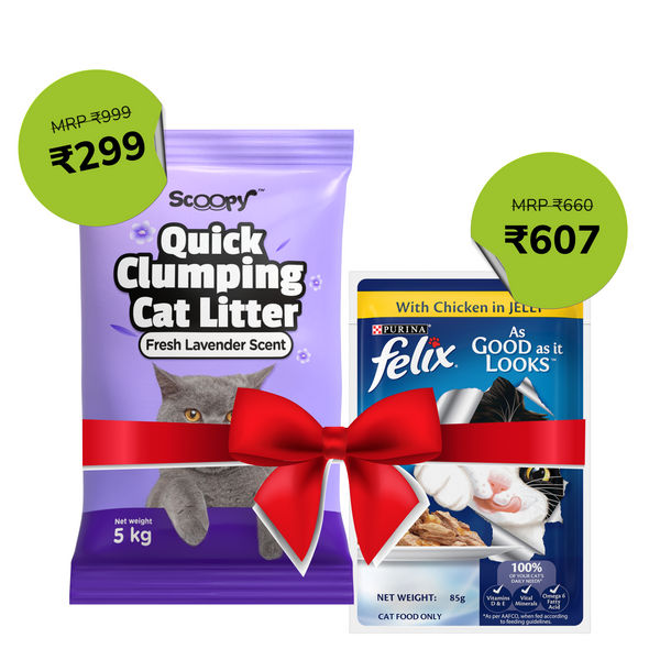Purina Felix with Chicken in Jelly Complete and Balanced Adult Cat Wet Food