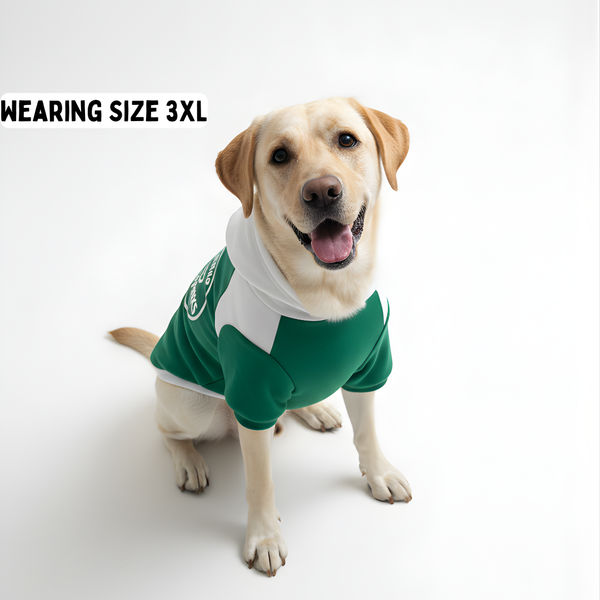 Pawgypets Furbarks Hoodie for Dogs (Green)