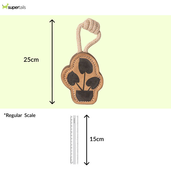 Pawpourri Plant Shaped Chew Toy for Dogs (Brown)