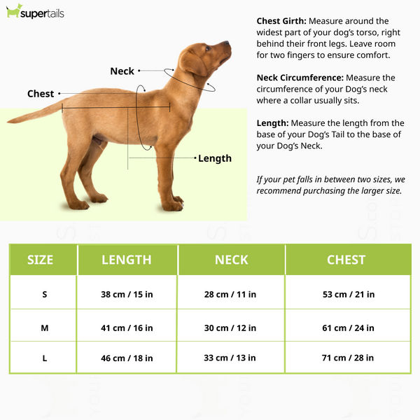 Talking Dog Club Tanky&