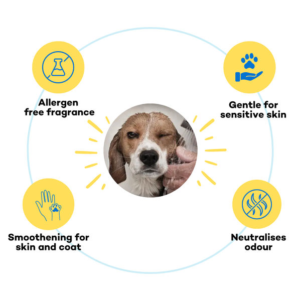 The Good Paws FRESSSSH AF Short Coat Shampoo for Dogs